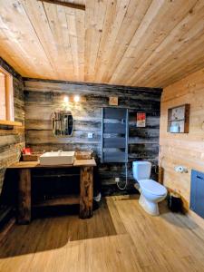 a bathroom with a sink and a toilet at Le refuge de Marius - logement de colpoteur in Albiez-Montrond +25 photos