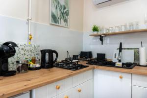 a kitchen with a stove and a counter top at BOTANIKA apartmanok Zsálya és Rozmaring in Baja