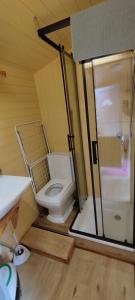 a small bathroom with a toilet and a shower at Tiny house Horní Planá in Horní Planá