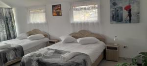 a bedroom with two beds and two windows at Colt de rai in Secăria