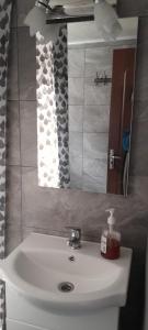 a bathroom with a sink and a mirror at Colt de rai in Secăria +27 photos