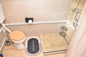 a small bathroom with a toilet and a shower at Zov planine in Žabljak +24 photos