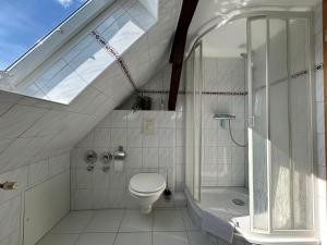 a bathroom with a toilet and a shower and a sink at Ferienwohnung Insel Malchow mit eigenem Bootsanleger in Malchow