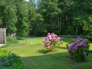 two pink flowers in a garden with a park at The Wherry Arch in Neatishead