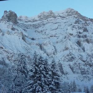 Gallery image of Bunderbach in Adelboden +11 photos