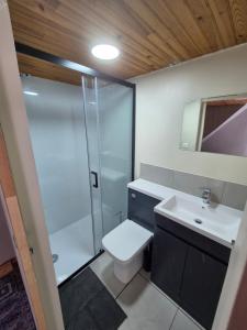 a bathroom with a shower and a toilet and a sink at 16 Chemin De Compostelle in Sénergues