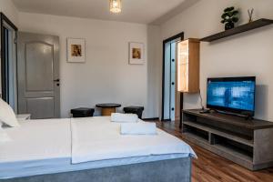 a bedroom with a large bed and a flat screen tv at Apartament Deea in Orşova