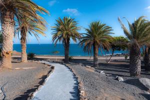 a pathway with palm trees on the beach at CASA IBON 1A pool view Playa Roca in Costa Teguise