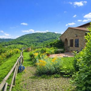 a garden in front of a house with mountains in the background at la villa bella vista in Castelmuzio +30 photos