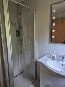 a bathroom with a shower and a sink at Singer-Hof in Krumpendorf am Wörthersee +14 photos