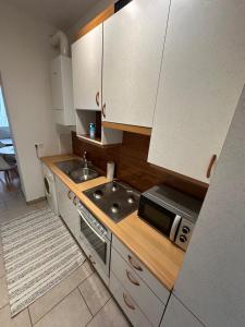 a small kitchen with a sink and a microwave at Cozy Ground Floor Apartment Near U6 Easy Access to Center in Vienna