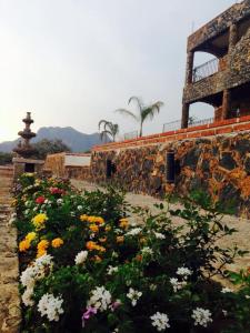 a garden of flowers in front of a stone building at Wellness Casa Doña Juana in Tepoztlán