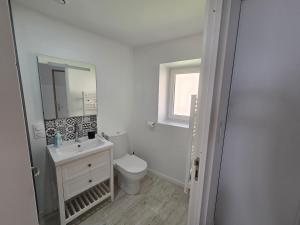 a bathroom with a toilet and a sink and a mirror at Nuit douce au LYS in Phalsbourg