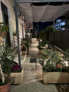 a patio with a bunch of potted plants at Titti's Nest in Casteldaccia