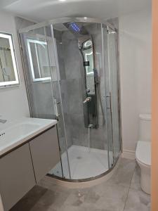 a bathroom with a shower with a sink and a toilet at New and Stylish 3BR Private Basement Apartment with 3 Baths & Parking in Richmond Hill +20 photos