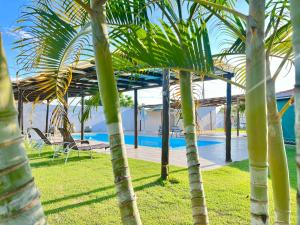 a group of palm trees next to a swimming pool at Hotel & Pousada Recanto do Sabiá in Pirapora