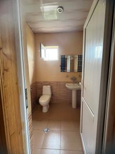 a bathroom with a toilet and a sink at Hotel Roba in Ureki +22 photos