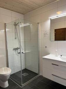 a bathroom with a shower and a toilet and a sink at Affordable Luxury Sauna Chalet - River Views in Vossevangen +18 photos