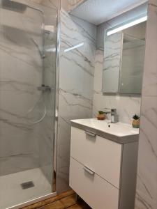 a bathroom with a sink and a shower at Studio 1er Consul in Ajaccio +31 photos