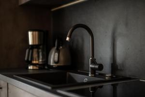 a kitchen sink with a faucet on a counter at Gästehaus Dauser in Obermaiselstein +74 photos
