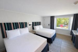 a hotel room with two beds and a window at The Foxberry - A Digital Concierge Guesthouse in Provincetown +16 photos