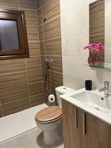 a bathroom with a toilet and a sink at Apartamentos luz de Doñana 1 in Moguer +11 photos