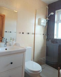 a bathroom with a toilet and a sink and a shower at Teach Barney in Falcarragh +10 photos