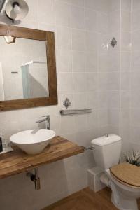 a bathroom with a sink and a toilet and a mirror at Penzion Cizku u Trebone in Třeboň +5 photos