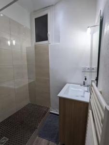 a small bathroom with a sink and a shower at Les nids de Lagasse in Agen