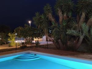 a swimming pool at night with palm trees at El Rincón del Olivo in Cartagena