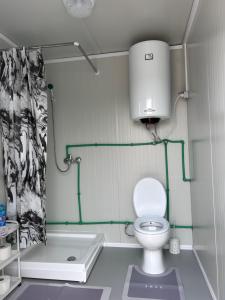 a small bathroom with a toilet and a bath tub at A little paradise 2 in Radanovići