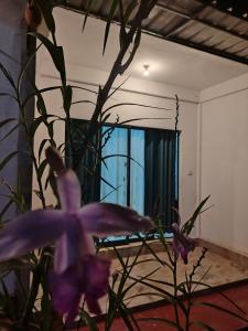 a vase with purple flowers in front of a mirror at Phoenix Crest Cottage in Haputale