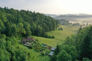 an aerial view of a house in the middle of a forest at Počitniška hiša Eva in Velike Lašče