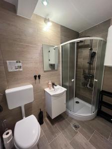 a bathroom with a toilet and a shower and a sink at Počitniška hiša Eva in Velike Lašče