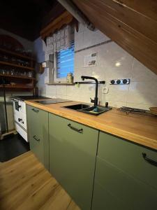 a kitchen with a sink and a counter top at Počitniška hiša Eva in Velike Lašče +43 photos