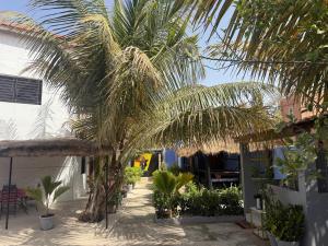 a palm tree in the courtyard of a house at Keur Medzo - Lac Rose in Niaga