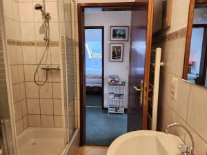 a bathroom with a shower and a toilet and a sink at Schwarzwald-Ferienwohnungen Begert in Baiersbronn +83 photos