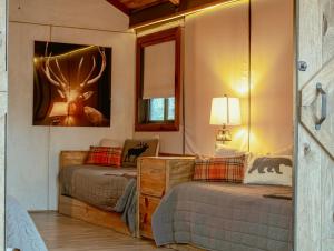 a bedroom with two beds and a mirror at Premium Lakefront Cabin 1 The Armadillo in Bastrop