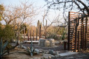 a garden with a fence and a cactus at Ohana cerritos in El Pescadero +4 photos