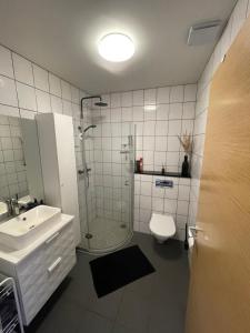 a bathroom with a shower and a sink and a toilet at Studio with Private Spa Garden in Njarðvík