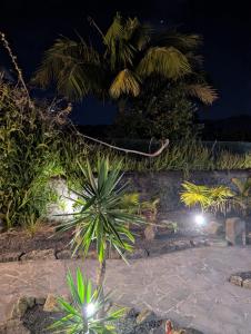 a hammock in a garden at night at Vulcânica - Boutique Suites in Furnas São Miguel in Furnas +54 photos