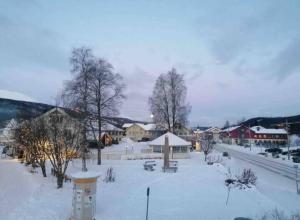 a town covered in snow with trees and buildings at Trysil sentrum apartment in Trysil