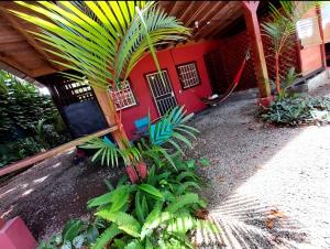 a red house with a palm tree in front of it at Coral Lagoon in Puerto Viejo