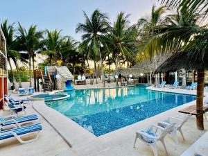 a large swimming pool with chairs and palm trees at Jaguar Club & Casitas in Santa Clara