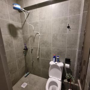 a bathroom with a shower with a toilet in it at Royalty homes in Kiambu