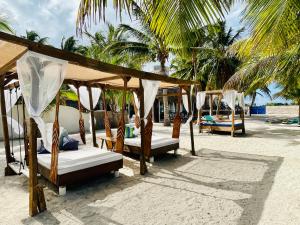 a group of beds on a beach with palm trees at Jaguar Club & Casitas in Santa Clara