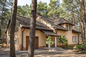 a house in the woods with trees at Forest Hub Popowo in Huta Podgórna