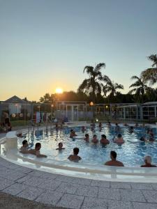a group of people in a swimming pool at sunset at AltoRojo in Villa Elisa