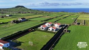 a house in the middle of a field with the ocean at Beer House by PontaNegraAzores in Altares