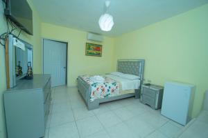 a bedroom with a bed and a refrigerator at Hotel Anedi in Concepción de La Vega